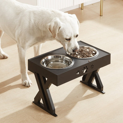 Anti-Slip Elevated Double Dog Bowls