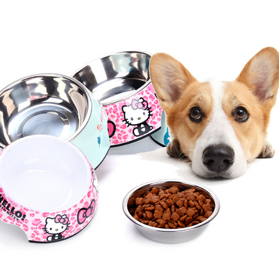 Stainless Steel Dog Bowl with Print Pattern