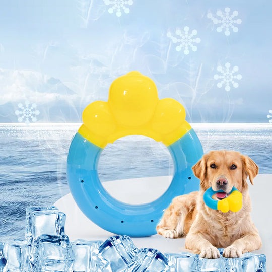 Frozen Dog Toy Molar Donut