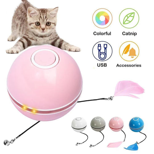 Pet Chewing Toothbrush Stick