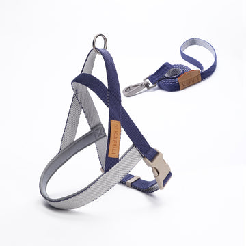 Dog Leash Pet Vest Chest Harness Medium And Large Dog French Dog Golden Retriever Dog Walking Rope