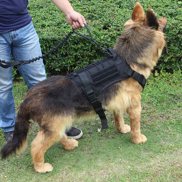 Dog Harness:Tactical Gear for Your Canine Companion, Military-Grade Dog Harness with Handle and Bungee Leash.