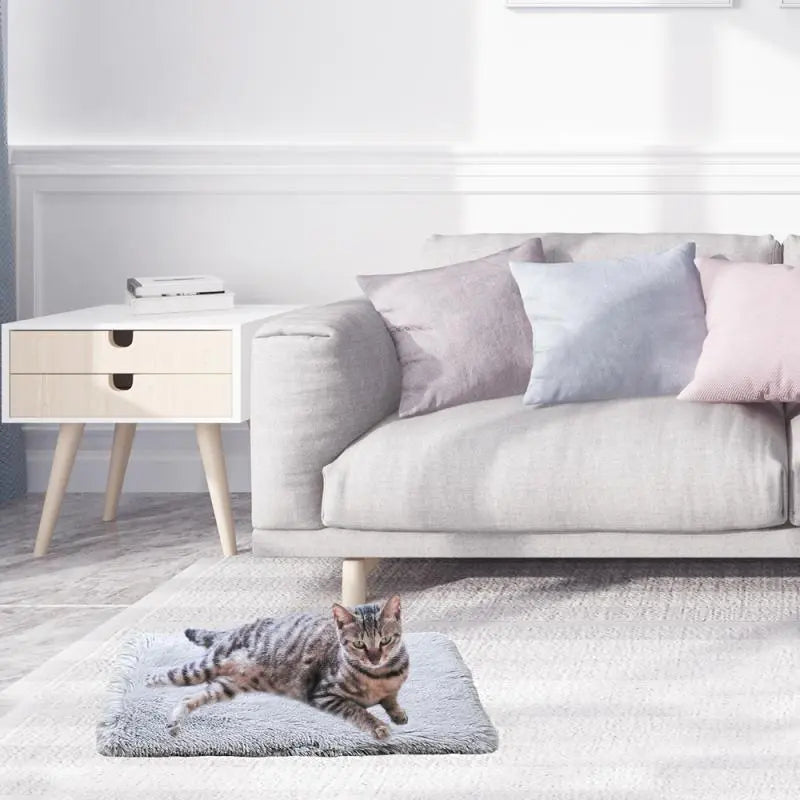 Plush Cat Bed House Cat Mat Net Red Cat Litter Plush Two-in-one Pet Mat Cat Cat Winter Warm Dog House Sleeping
