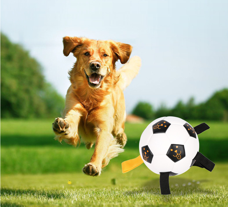 Your Pup Moving and Grooving with Our Outdoor Interactive Pet Ball Toy