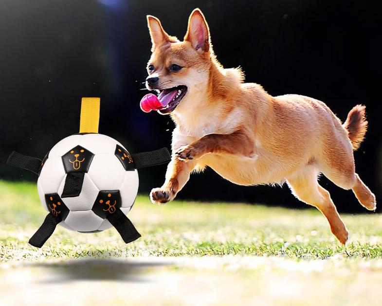 Your Pup Moving and Grooving with Our Outdoor Interactive Pet Ball Toy