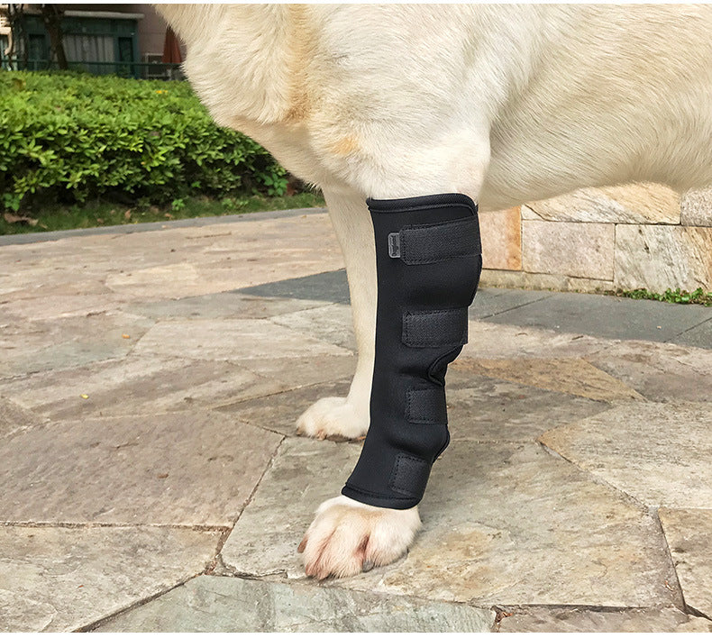 Dog Hock Brace