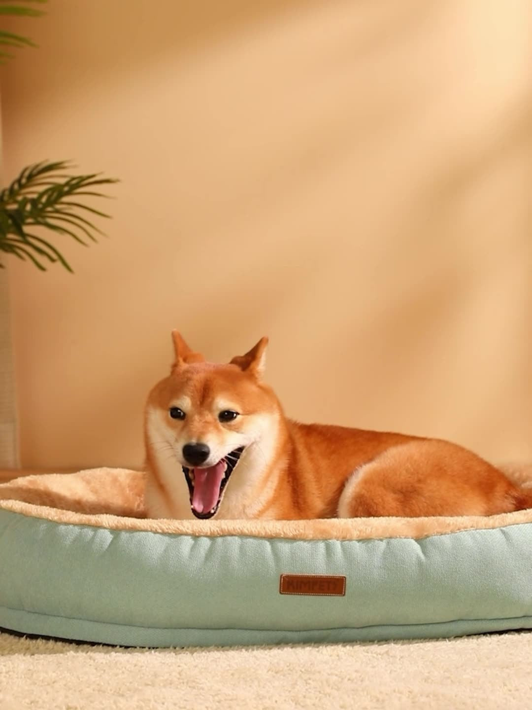 Dog Bed: Cozy and Bite-Resistant Pet Kennel Bed for Dogs.