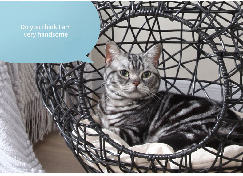 Dog bed: Swing Your Way to Happy Purrfect Moments with Our All-Season Pet Hammock and Rattan Chair - Perfect for Cats and Small Dogs!