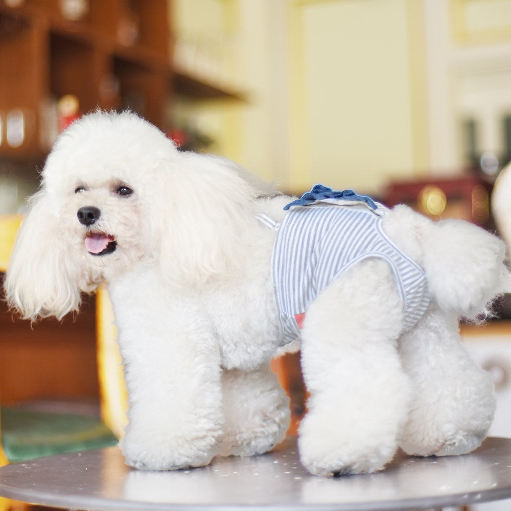 Dog Physiological Pants Female Dog Kerky Teddy Small Dog Anti-Mating Underwear Big Aunt Pants Pet Strap Menstrual Pants