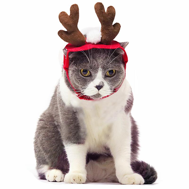 Pet Christmas Headband