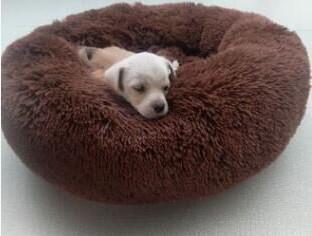 Pet Dog Bed Comfortable Donut Cuddler Round Dog Kennel Ultra Soft Washable Dog and Cat Cushion Bed