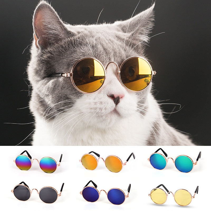 Lovely Pet Cat Glasses