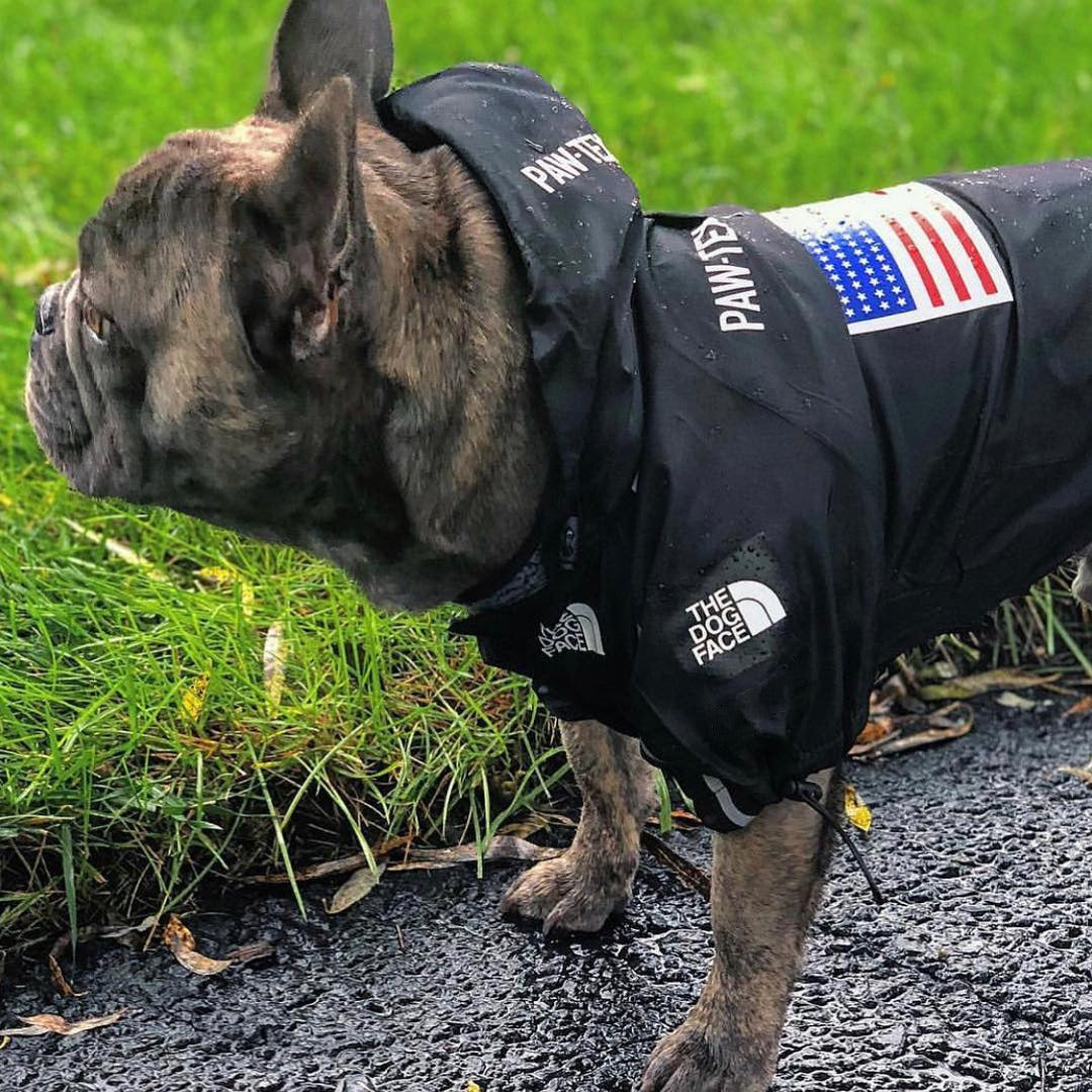 American Dog Jacket 