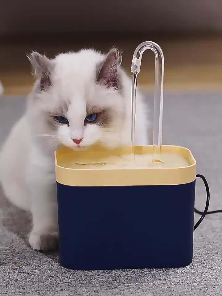 Cat Water Fountain