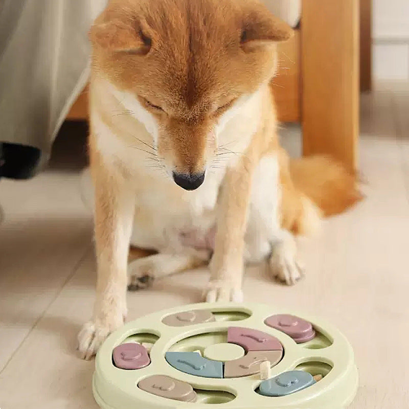 Puzzle Feeders For Dogs