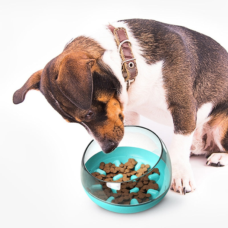 Dog Bowl：Promote Healthy Eating Habits for Your Pet with Slow Feeding Dog Bowls.