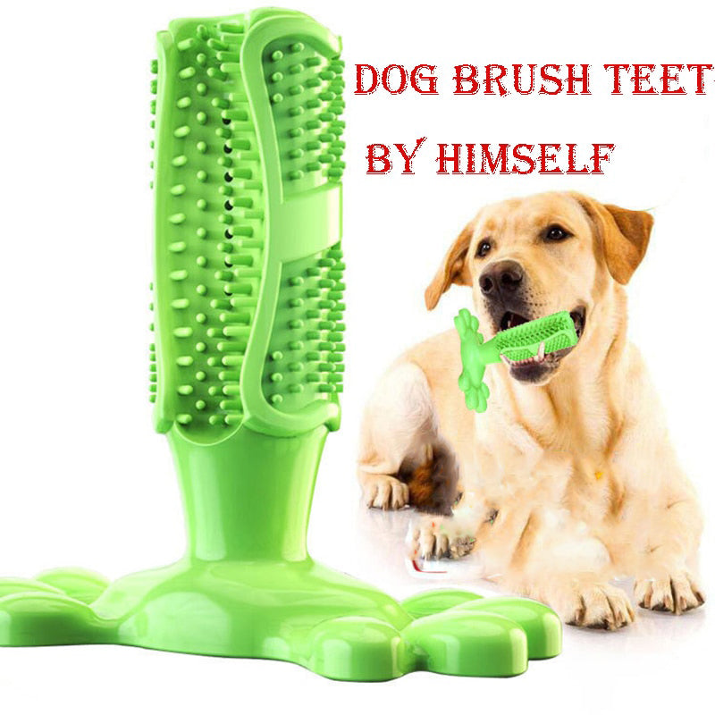 Dog Toy Dog Chew Toys Dog Toothbrush Pet Molar Tooth Cleaning Brushing Stick Doggy Puppy Dental Care Dog Pet Supplies