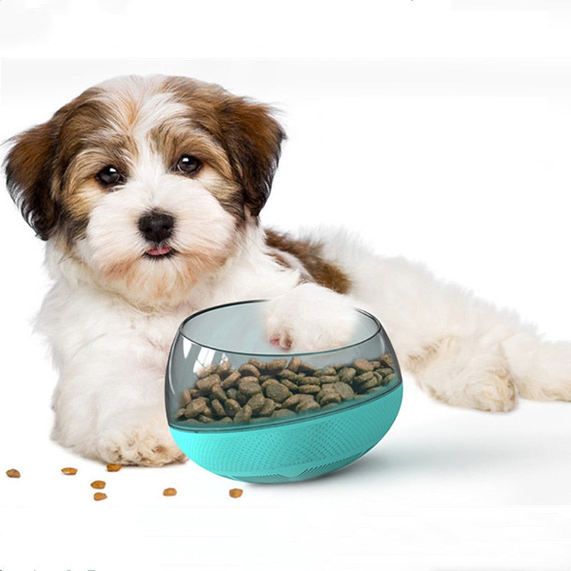 Dog Bowl：Promote Healthy Eating Habits for Your Pet with Slow Feeding Dog Bowls.