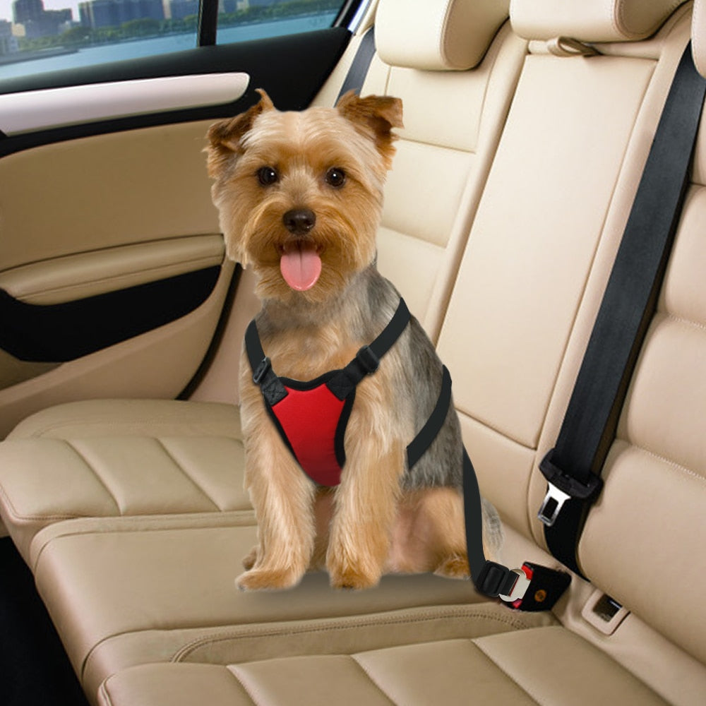 Dog Harness：Secure Your Furry Friend with Our Soft and Padded Dog Car Seat Belt Harness.