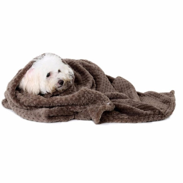 Dog Warming Blanket 