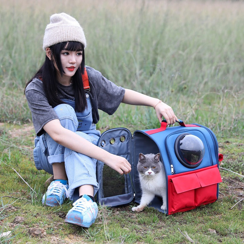 Foldable Pet Backpack 