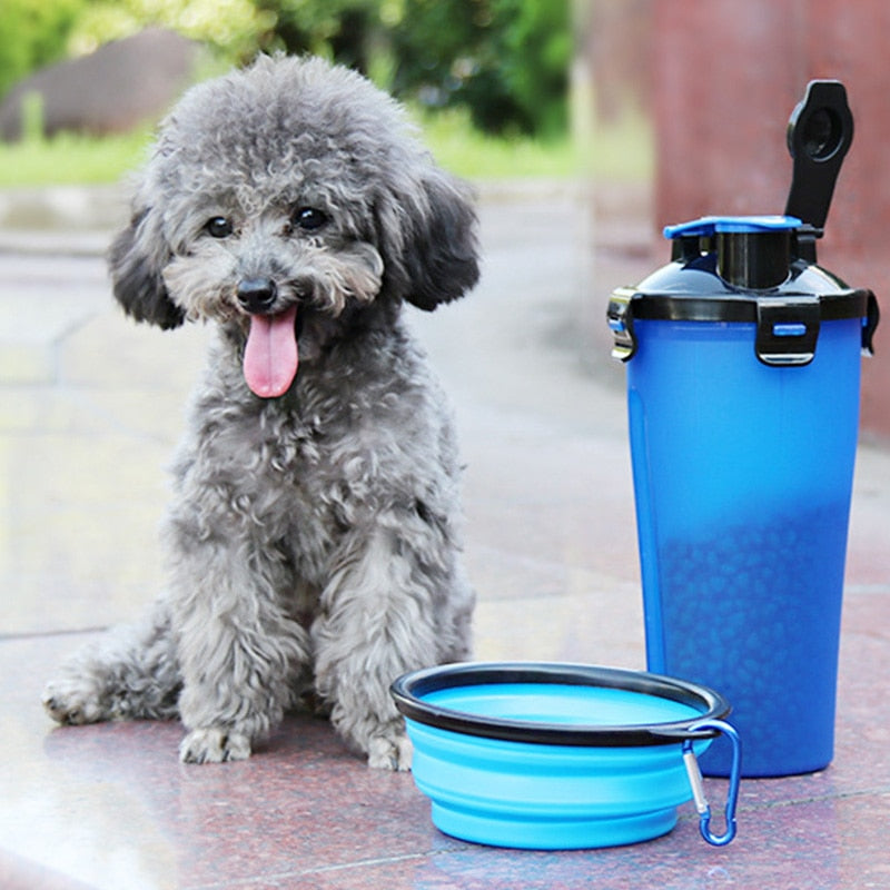 Dog bowl：Convenient On-the-Go Pet Feeding Solution for Dogs.