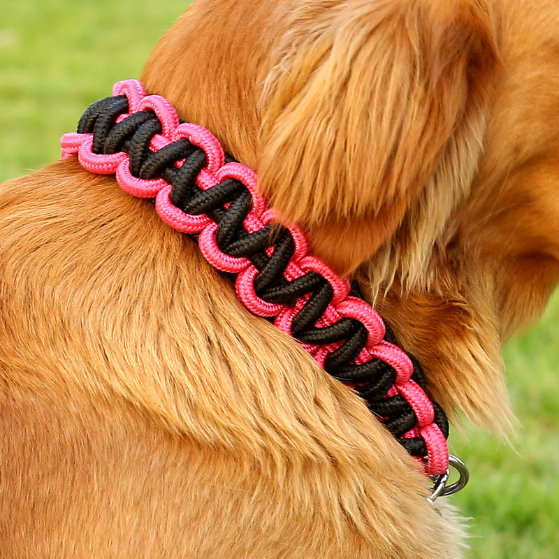 Walking Dog Rope