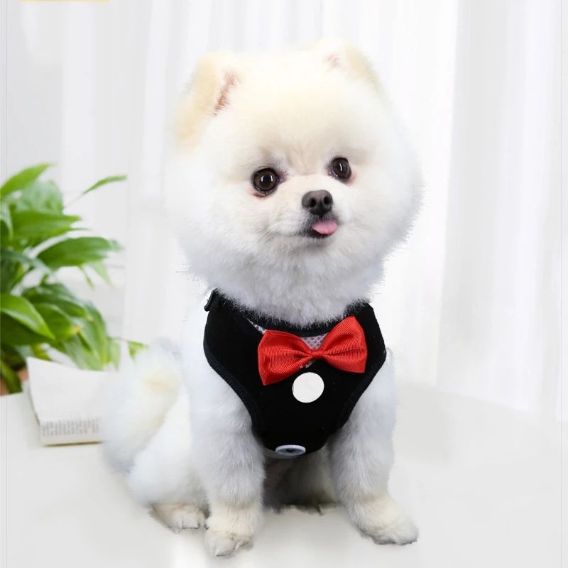 Dog Traction Rope Vest Type Teddy Clothes Dog Rope Small And Medium-Sized Dog Chest Strap Dog Rope Pet Daily Necessities