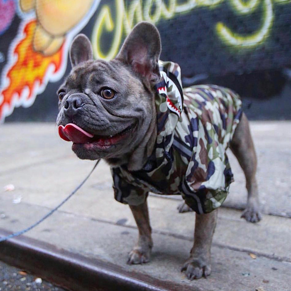 American Dog Jacket 