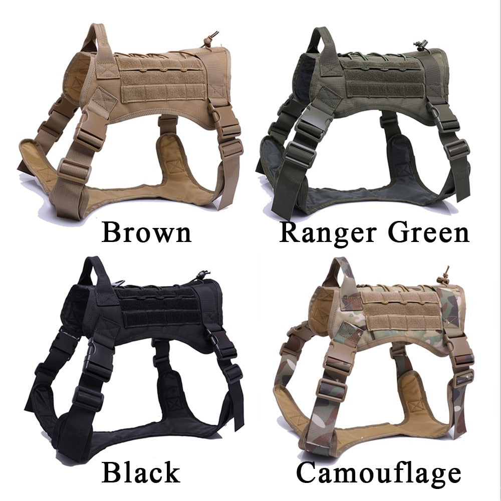 Dog Harness：Tactical Gear for Your Canine Companion, Military-Grade Dog Harness with Handle and Bungee Leash.