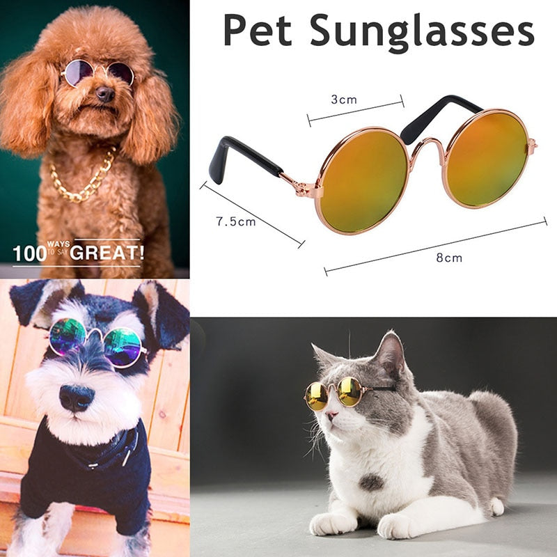 Lovely Pet Cat Glasses