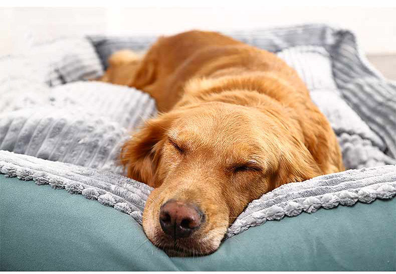 Dog Bed: Give Your Dog the Ultimate Comfort with Our Soft Pet Bed.