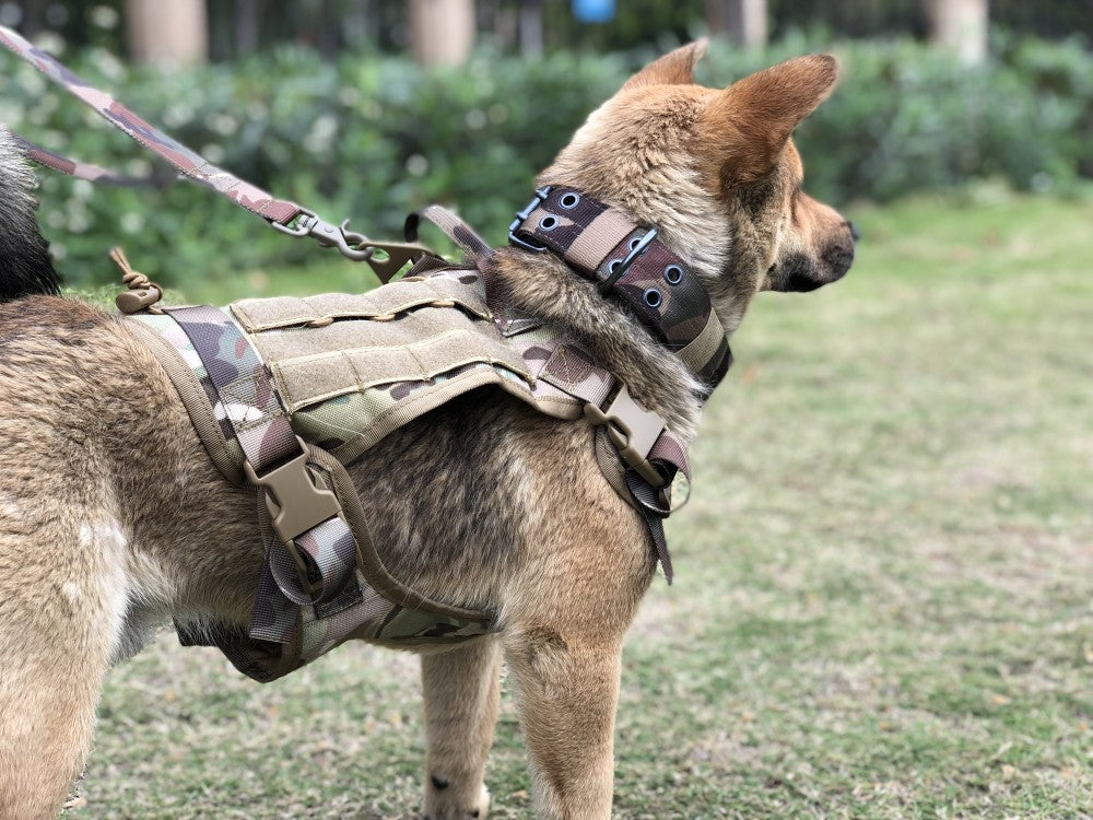 Dog Harness：Tactical Gear for Your Canine Companion, Military-Grade Dog Harness with Handle and Bungee Leash.