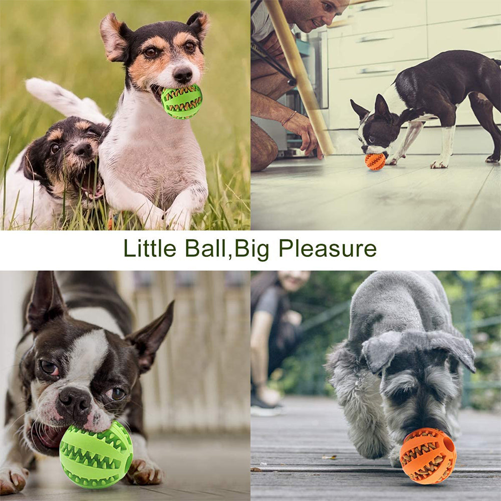 Rubber Snack Ball Toy for Dogs.