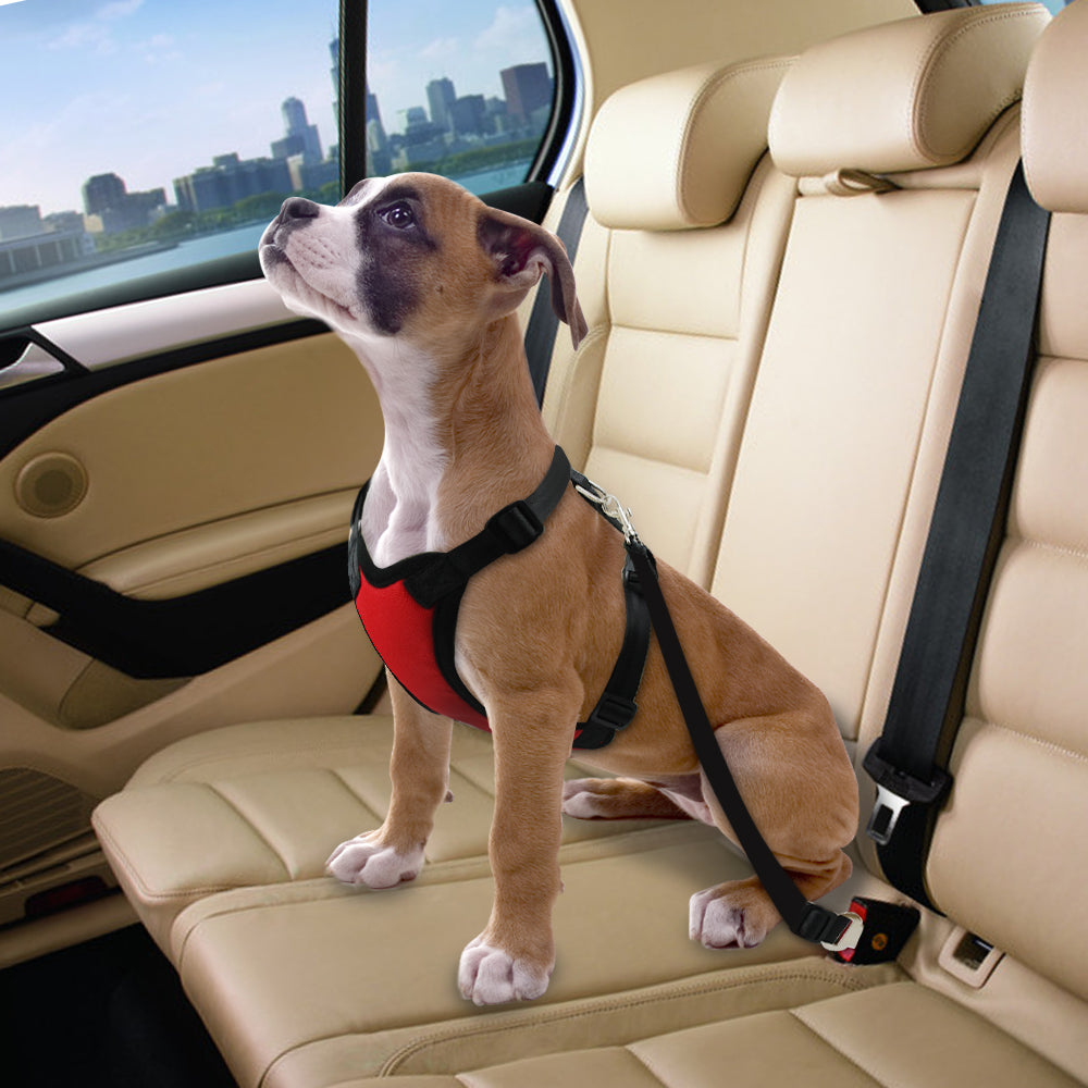 Dog Harness：Secure Your Furry Friend with Our Soft and Padded Dog Car Seat Belt Harness.