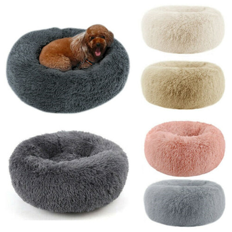 Dog Bed: Cozy and Calming Retreat for Your Furry Friend, Choose Our Plush Pet Beds.