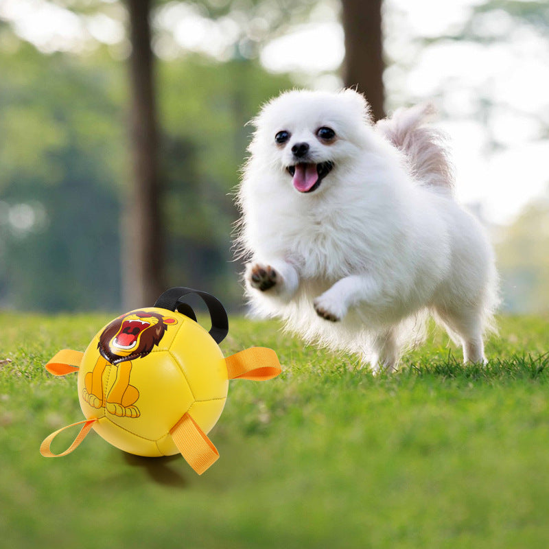 Your Pup Moving and Grooving with Our Outdoor Interactive Pet Ball Toy