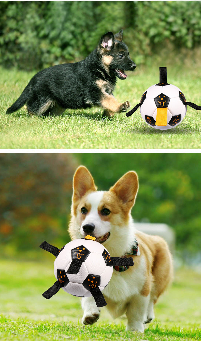 Your Pup Moving and Grooving with Our Outdoor Interactive Pet Ball Toy