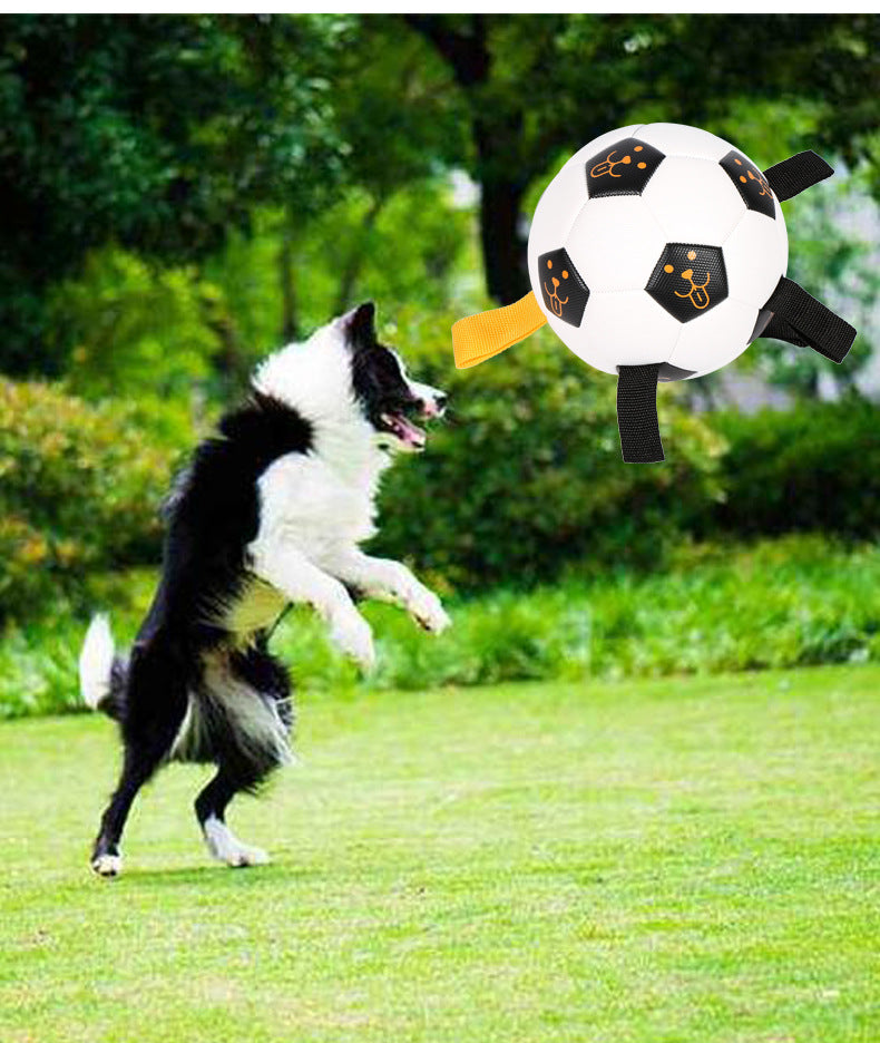 Your Pup Moving and Grooving with Our Outdoor Interactive Pet Ball Toy