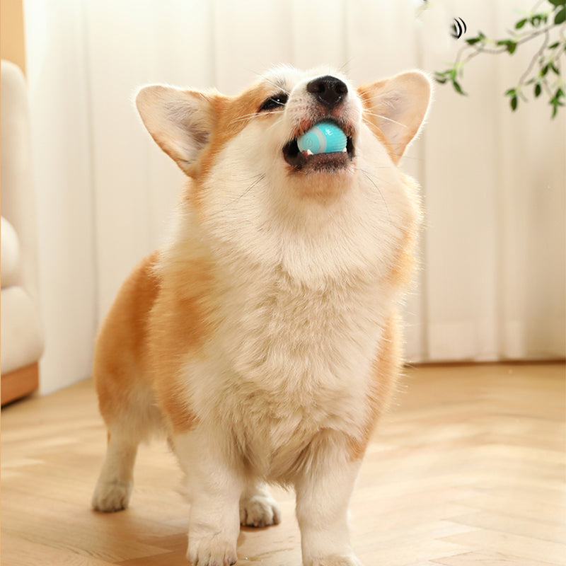 Self-Moving Puppy Ball for Interactive Play and Mental Stimulation.