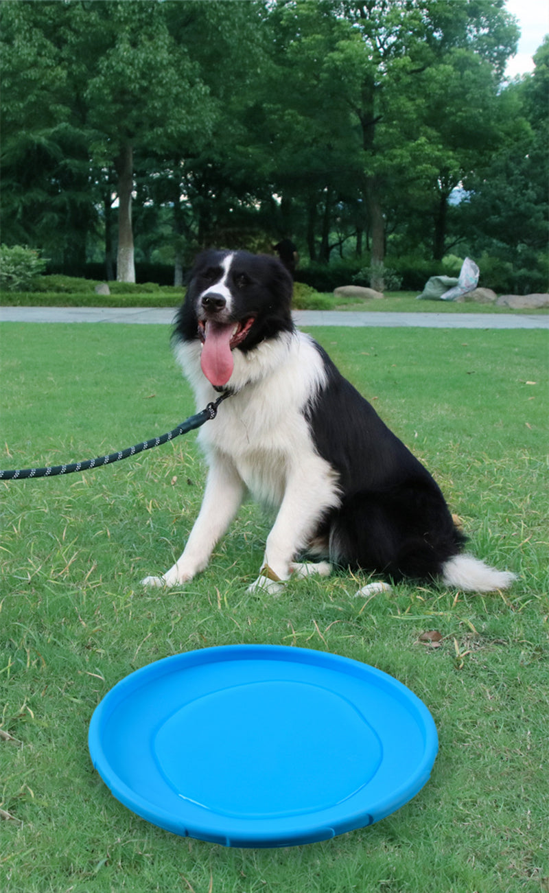 Silicone Flying Disc Toy, perfect for Interactive Training and Anti-Chew Playtime!