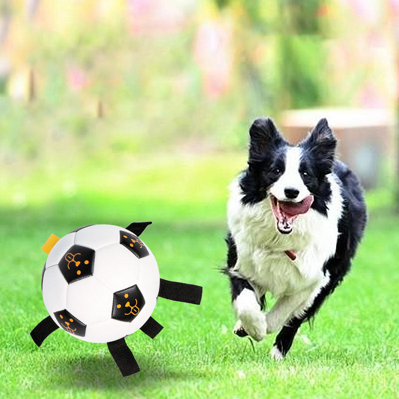 Your Pup Moving and Grooving with Our Outdoor Interactive Pet Ball Toy