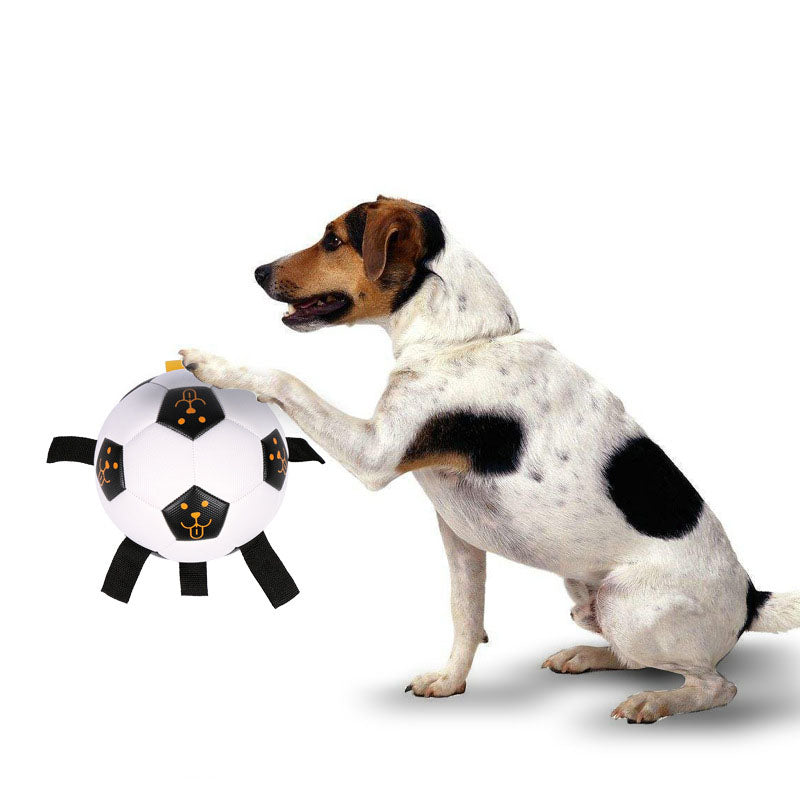 Your Pup Moving and Grooving with Our Outdoor Interactive Pet Ball Toy