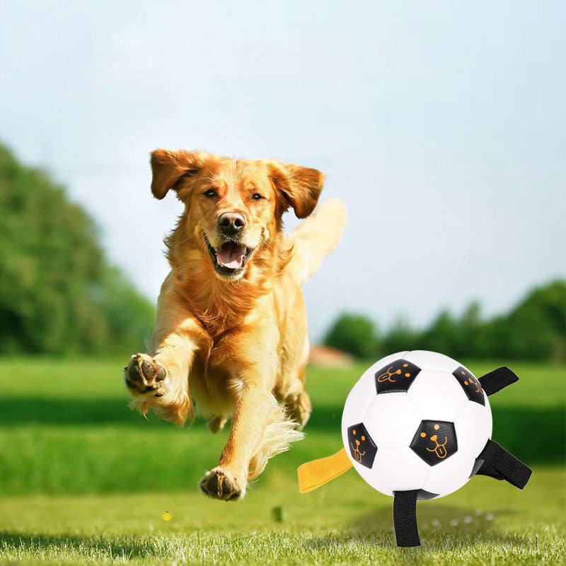 Your Pup Moving and Grooving with Our Outdoor Interactive Pet Ball Toy